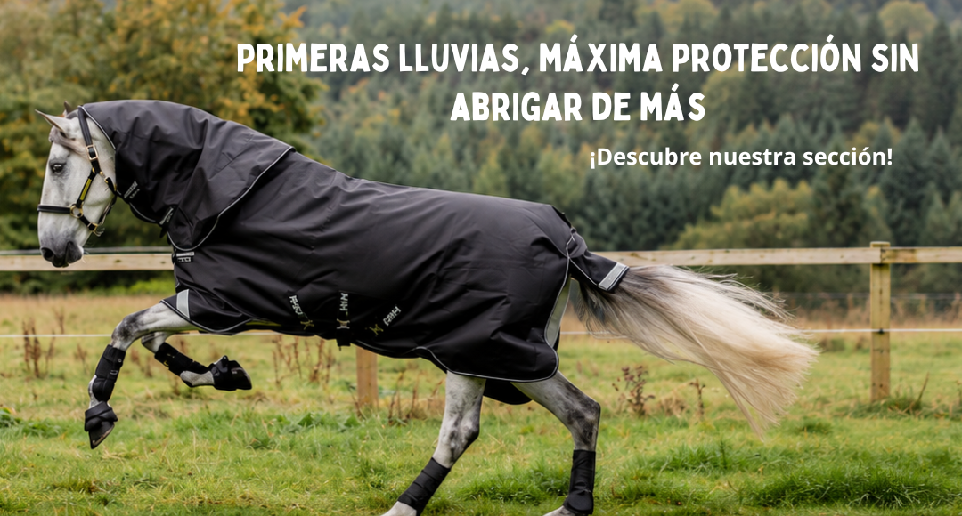 LLUVIA